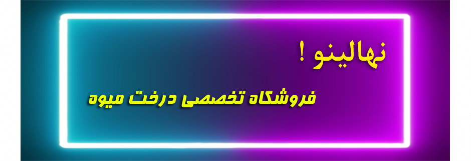 نهالینو فروشگاه تخصصی درخت میوه ،درختان میوه شامل درخت گردو،درخت گیلاس،درخت سیب،درخت گلابی،میوه کمیاب،نهال خاص